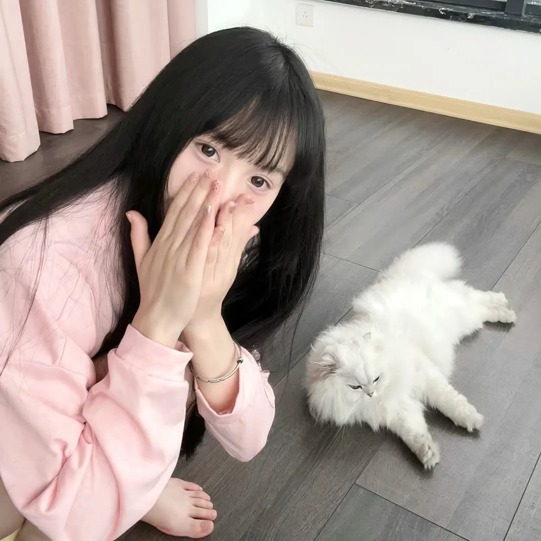 华人侦探陈查理之上海眼镜蛇